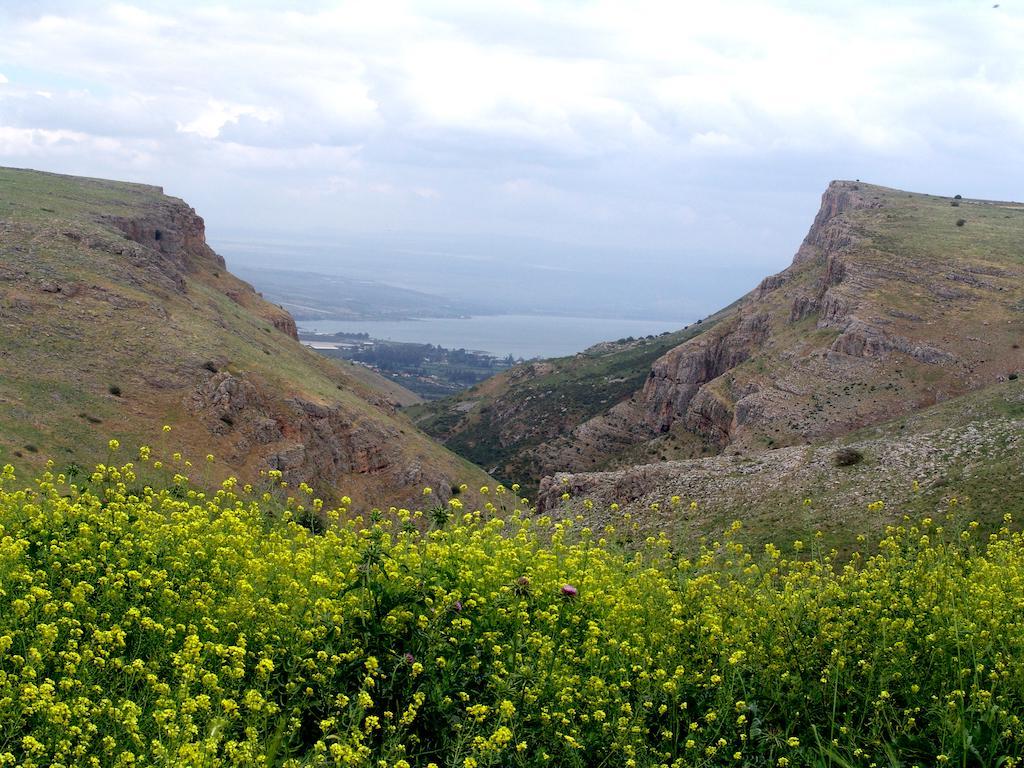 Arbel Holiday Homes Екстериор снимка